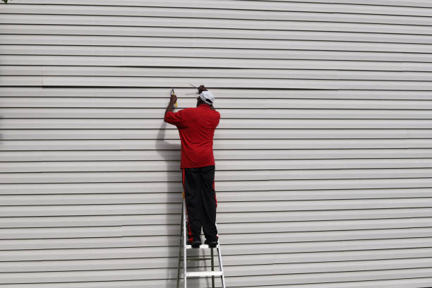 Best Vinyl Siding Installation  in Valley Falls, SC