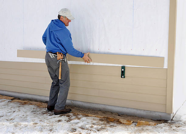 Best Stone Veneer Siding  in Valley Falls, SC