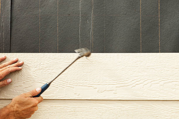 Best Stucco Siding  in Valley Falls, SC